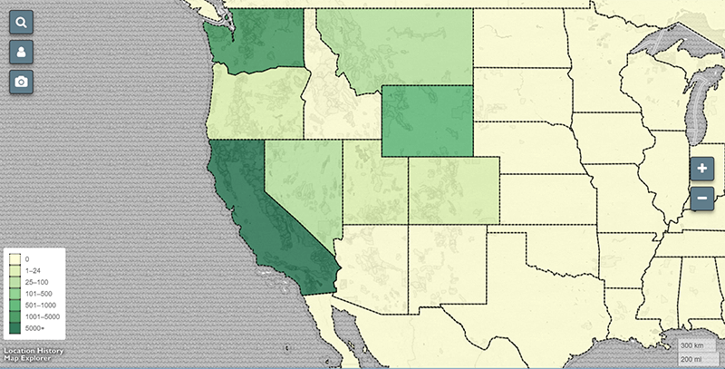Location History Map Explorer - World View